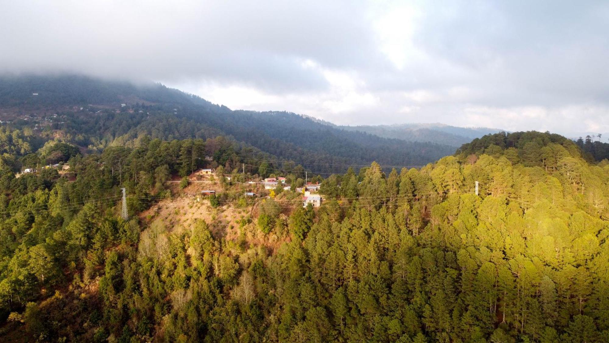 San Jose Del Pacifico- Cabanas Camino Al Cielo 1 Zewnętrze zdjęcie