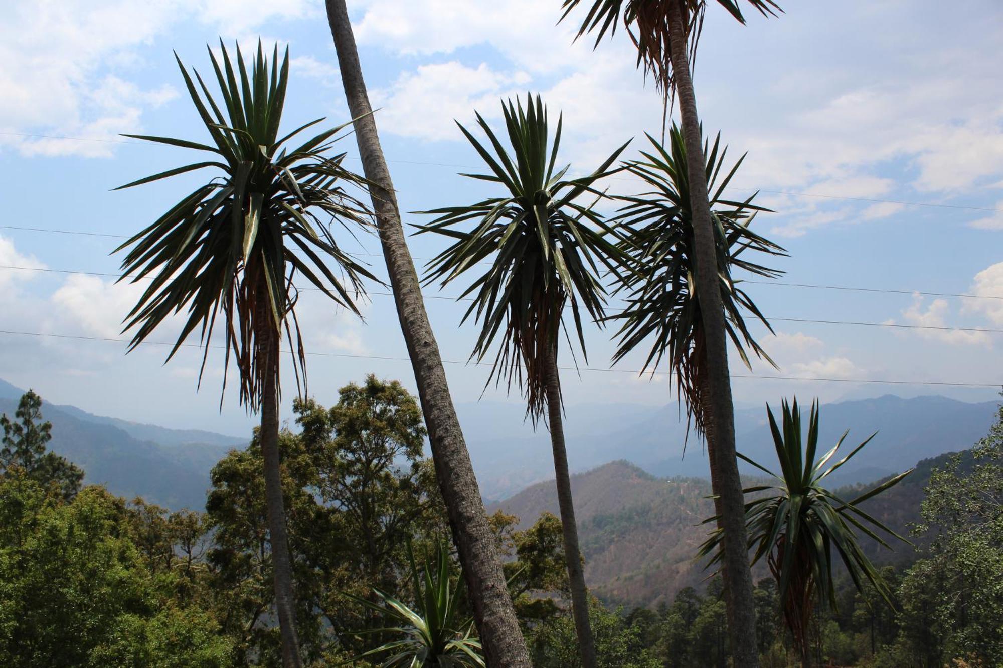 San Jose Del Pacifico- Cabanas Camino Al Cielo 1 Zewnętrze zdjęcie