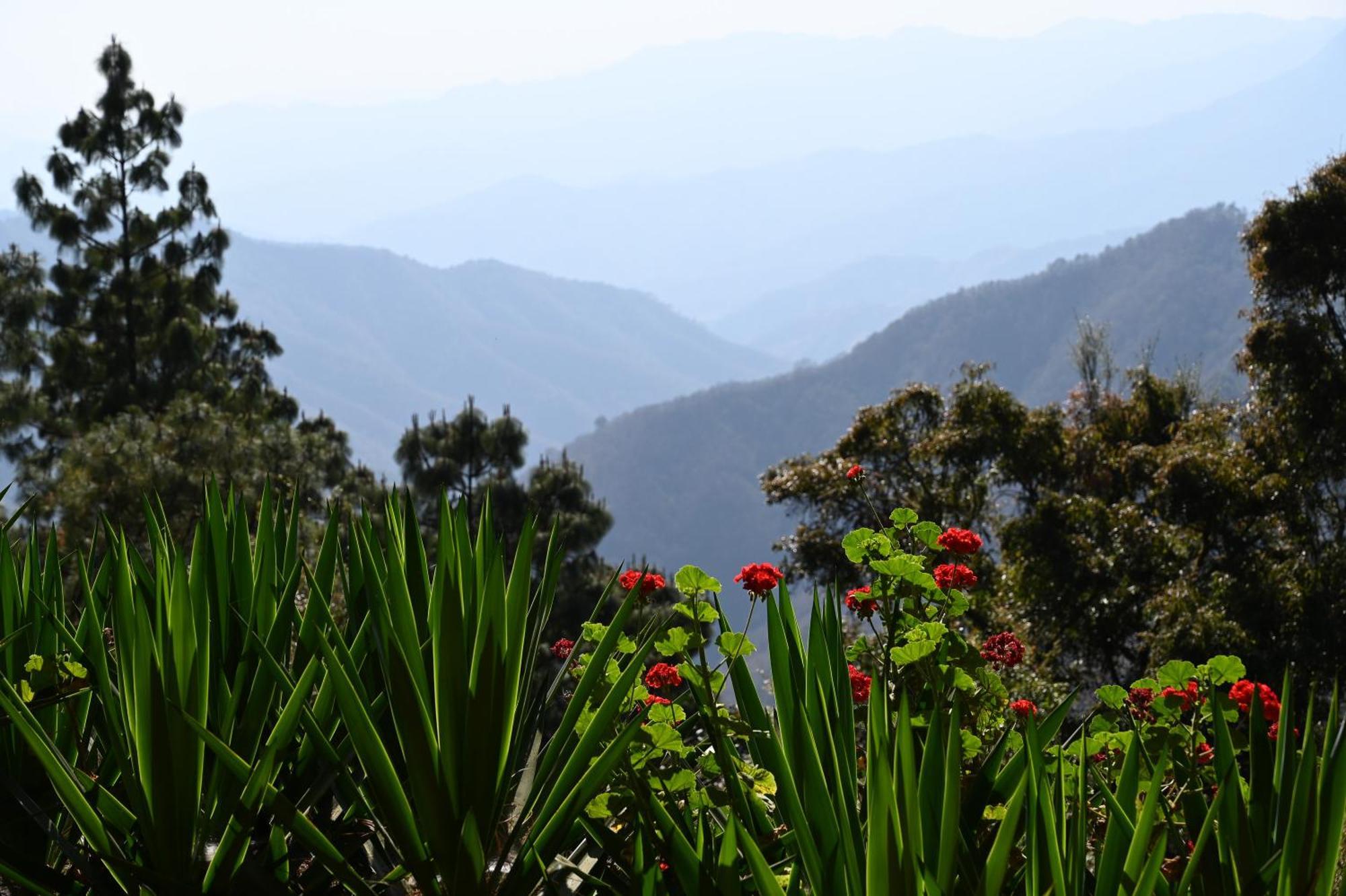 San Jose Del Pacifico- Cabanas Camino Al Cielo 1 Zewnętrze zdjęcie